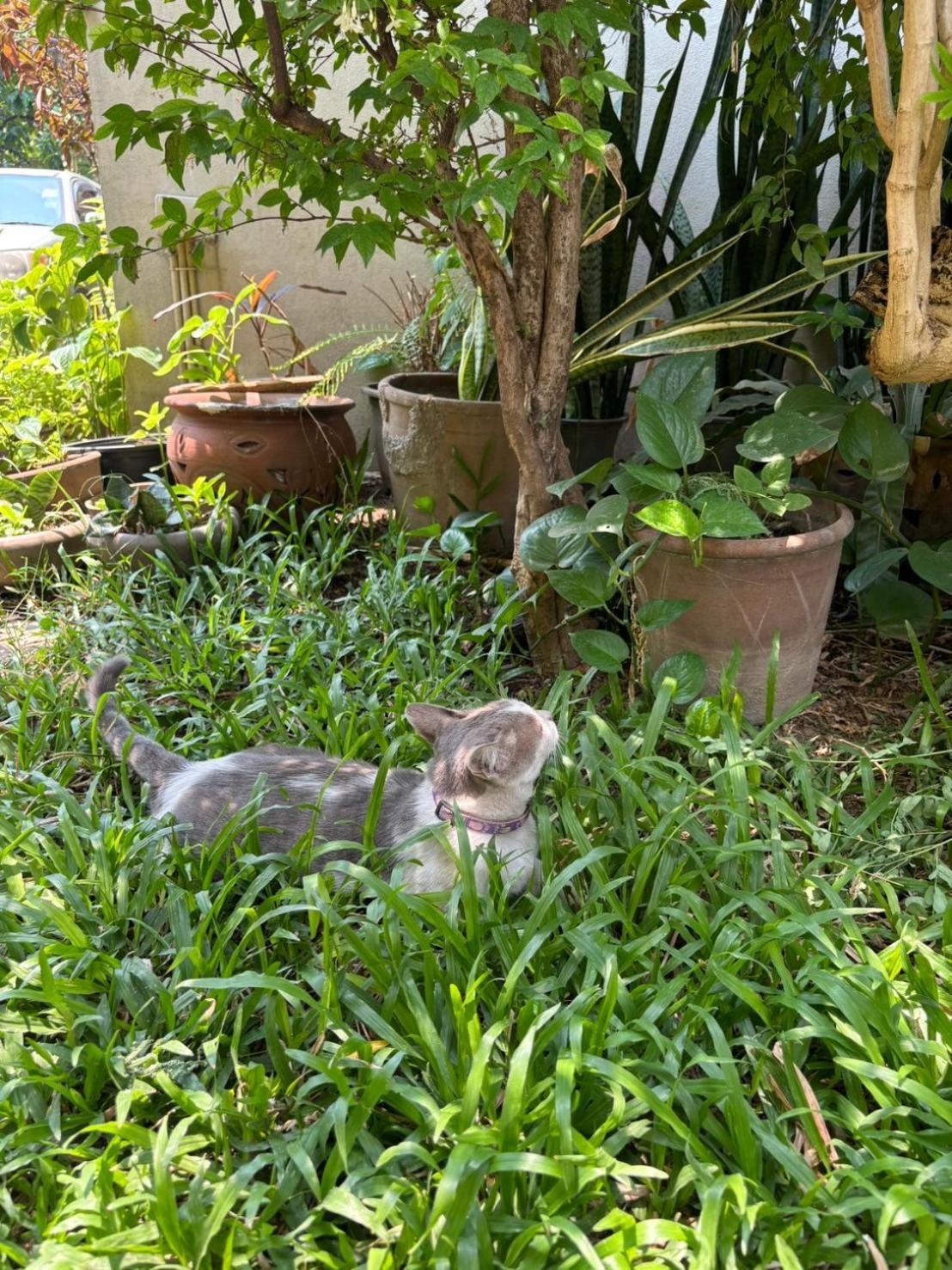 Yindee Stylish Guesthouse Chiang Mai Zewnętrze zdjęcie